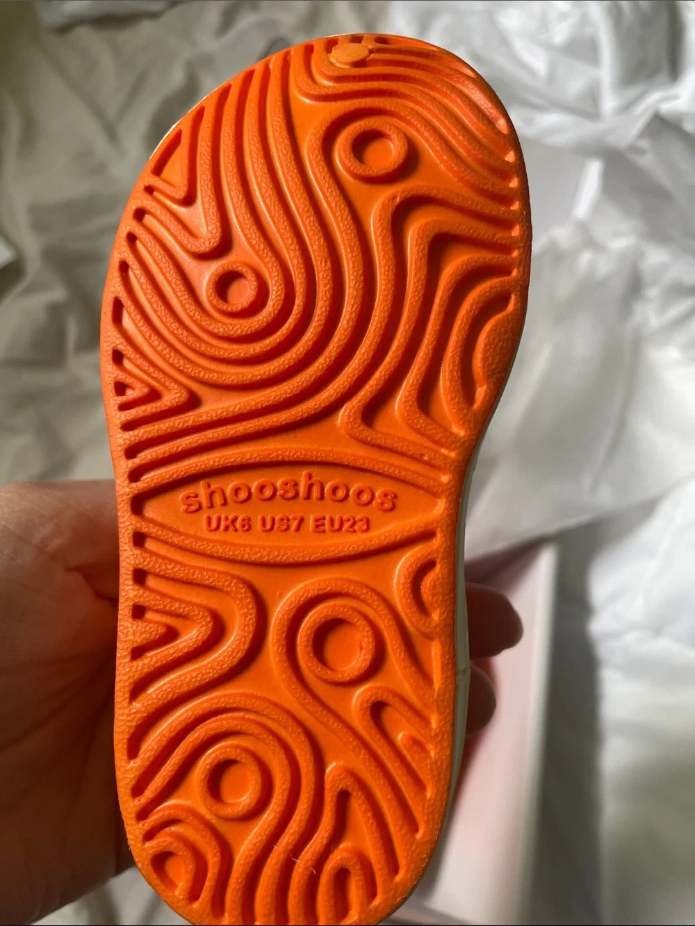 Shooshoos new box